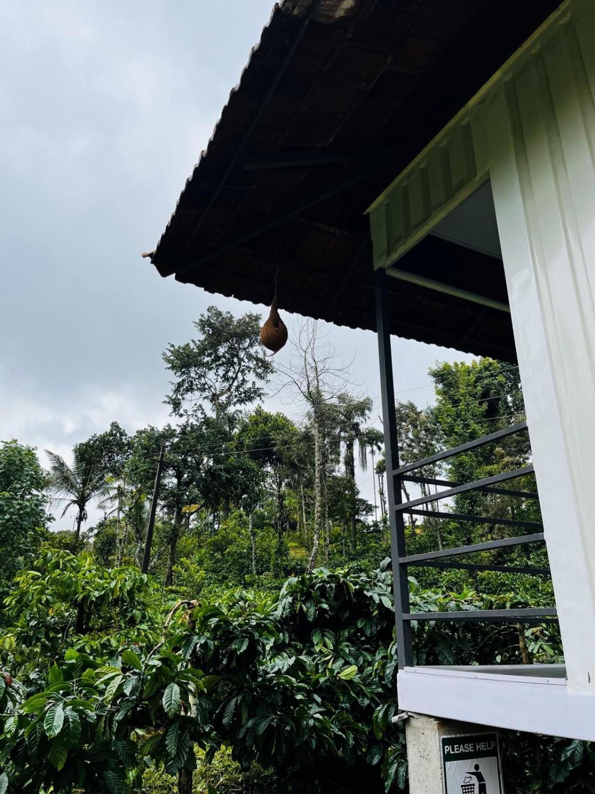 Vigo Homes Szaklespur Kültér fotó